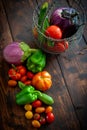 Composition of fresh mixed vegetables just picked Royalty Free Stock Photo