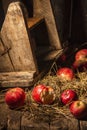 Composition of fresh organic apple , village style. wooden table and black background. Royalty Free Stock Photo