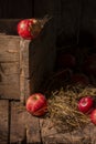 Composition of fresh organic apple , village style. wooden table and black background. Royalty Free Stock Photo