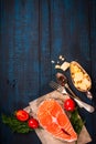 Composition with fresh salmon, herbs, parmesan and spices. Food background. Space for text Royalty Free Stock Photo