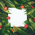 Composition with fresh tropical leaves and exotic flowers on white background