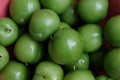 Erik, or greengages, often called sour green plums, eaten in Turkey. Royalty Free Stock Photo