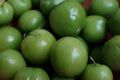 Erik, or greengages, often called sour green plums, eaten in Turkey. Royalty Free Stock Photo