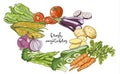 Composition of fresh vegetables illustration sketch eleme
