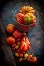 Composition of freshly picked fresh tomatoes Royalty Free Stock Photo