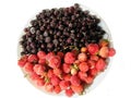 Composition of frozen strawberries and currant Royalty Free Stock Photo