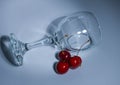 The composition of the glass of wine and cherries. Royalty Free Stock Photo