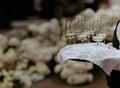 Composition with glasses on a tray. Waiter holds glasses of wine, alcohol on holiday. A waiter works in a restaurant Royalty Free Stock Photo