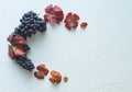 Composition of grape bunches and vine leaves on a painted white background