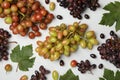 Composition grape and leaves on white background