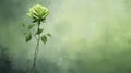 composition green flower background artful