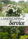 Composition of green gardening services text over colourful flowers hanging