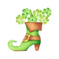 Composition of green leprechaun shoe with gold buckle and clover.Clipart for St. Patricks Day celebration Royalty Free Stock Photo