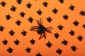 Composition of halloween decorations with rows of black spiders on orange background