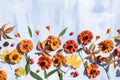 Composition of helenium flowers, maple leaves, rowan berries and maiden grape leaves on a blue background with space for text.