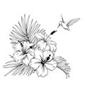 Composition with hibiscus, palm leaves and hummingbird. Vector botanical illustration