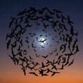 Composition highlights the dynamic flight patterns of the bats in Royalty Free Stock Photo