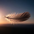 The composition highlights the feather s lightness and fragil Royalty Free Stock Photo
