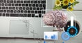 Composition of human brain and medical data processing over desk with laptop computer Royalty Free Stock Photo