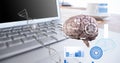 Composition of human brain and medical data processing over desk with laptop computer Royalty Free Stock Photo