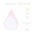 Composition Of Human Breast Milk Drop In Percent