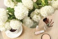 Composition hydrangea flowers, cup of coffee and cosmetics. Spring plant