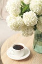 Composition hydrangea flowers indoor. Spring plant