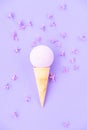 Composition of ice cream cone with bath ball on a violet background. Bathroom cosmetic accessories Royalty Free Stock Photo