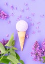 Composition of ice cream cone with bath ball on a violet background. Bathroom cosmetic accessories Royalty Free Stock Photo