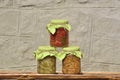 Composition with jars of pickled vegetables. Marinated food Royalty Free Stock Photo