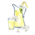 Composition of jug with cocktail straw, glass with lemonade and white flowers Watercolor hand drawn illustration