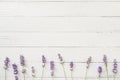 Composition of lavender on white wooden background. Border of violet fresh flowers. Free space Royalty Free Stock Photo