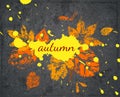 Vector grunge banner on autumn theme. Postcard with leaves and blots.
