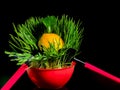 Composition with lemon in green grass on a black background Royalty Free Stock Photo