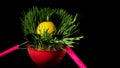 Composition with lemon in green grass on a black background Royalty Free Stock Photo