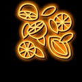 composition lemon neon glow icon illustration