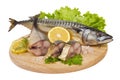 A composition with mackerel fish Royalty Free Stock Photo