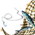 Composition of mackerel and fishnet watercolor illustration isolated on white. Royalty Free Stock Photo