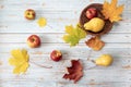 Composition made from pears, apples and colorful maple leaves on the blue wooden table. Autumn harvest concept Royalty Free Stock Photo