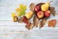 Composition made from pears, apples and colorful maple leaves in a wicker basket on the blue wooden table. Autumn harvest concept