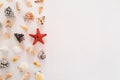 Composition of many white, beige, black exotic seashells different shapes and types and red starfish on a white background. Summer Royalty Free Stock Photo