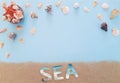 Composition of many white, beige, black exotic seashells different shapes and types, red starfish on blue background. Lettering Royalty Free Stock Photo
