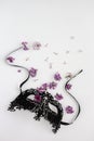 A masquerade black mask, spring flowers and tassels Royalty Free Stock Photo