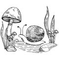 Composition mushrooms and snail vector graphics. Snail, stones, mushrooms line art illustration. Graphic mushrooms for