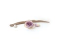 Composition of natural dry rose bloom, stones and polished wood