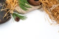 A composition of natural elements with space for text. Spruce branches, burlap, pine cones on a white background. Royalty Free Stock Photo