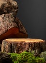 Composition with natural wood, moss and lichen for advertising eco products