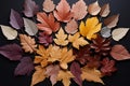 A composition of numerous fallen and colorful leaves