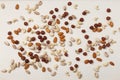Composition of nuts pattern - mix hazelnuts, cashews, almonds, pistachios.