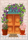 Spring door